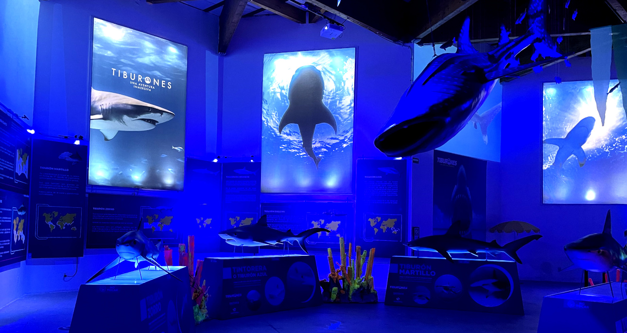 exposición inmersiva tiburones